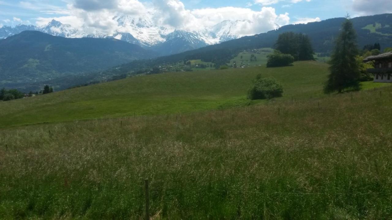 Rez De Chaussee Tres Calme Vue Mont-Blanc Combloux Δωμάτιο φωτογραφία